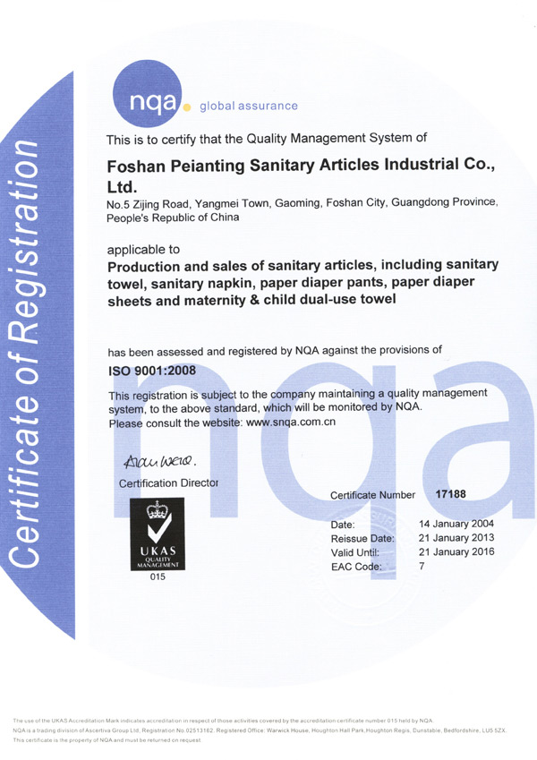 ISO9001證書(shū)（英文）-佩 安婷